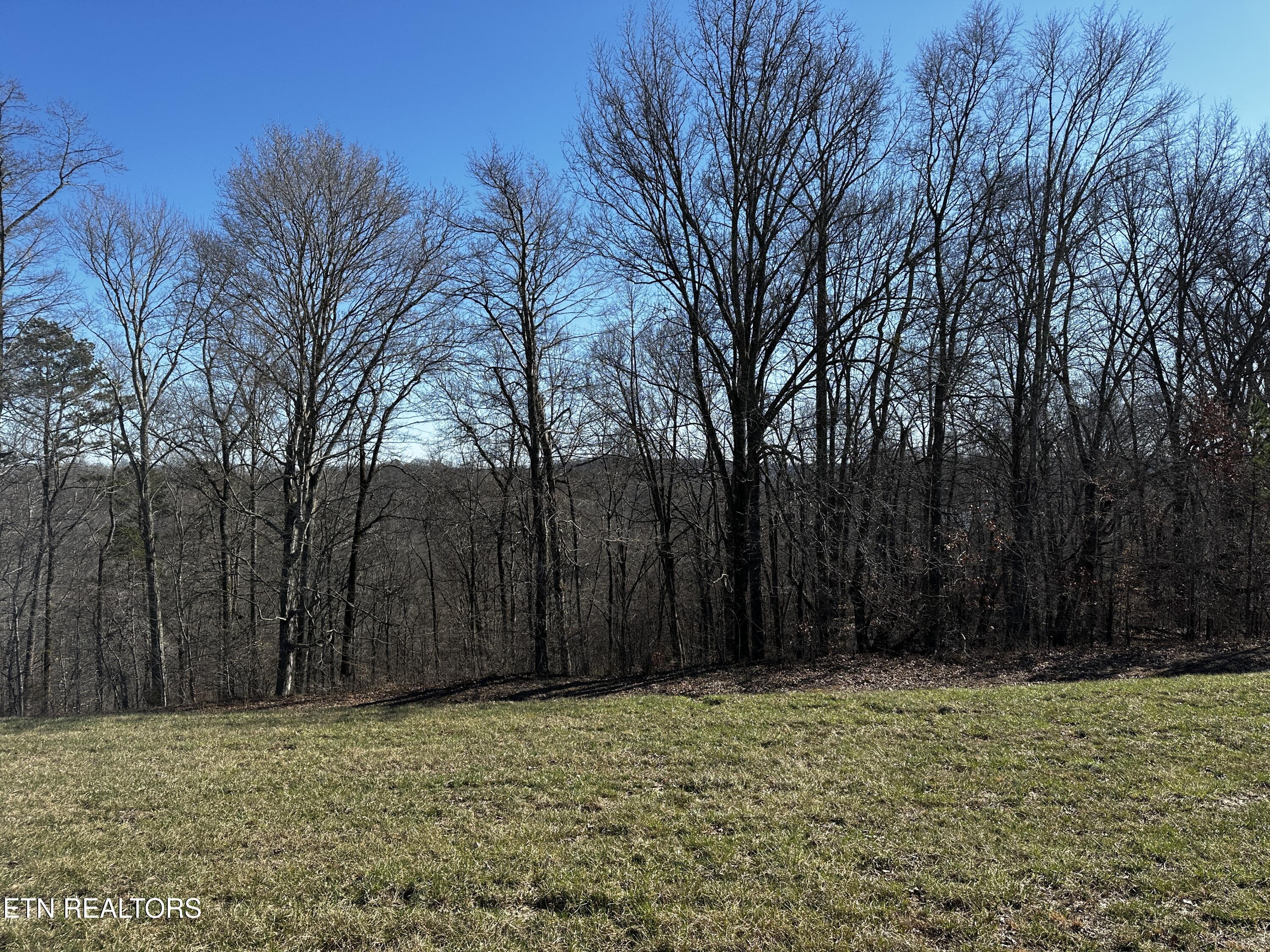 535 Prestige Ridge La Follette, TN 37766 - Photo 22 of 31 IMG_2106