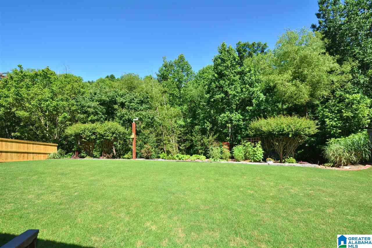 613 Foothills Trace Chelsea, AL 35043 - Photo 46 of 50