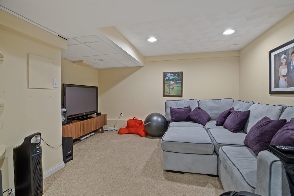 19 Manor Avenue Natick, MA 01760 - Photo 24 of 29 a living room with a couch and a flat screen tv