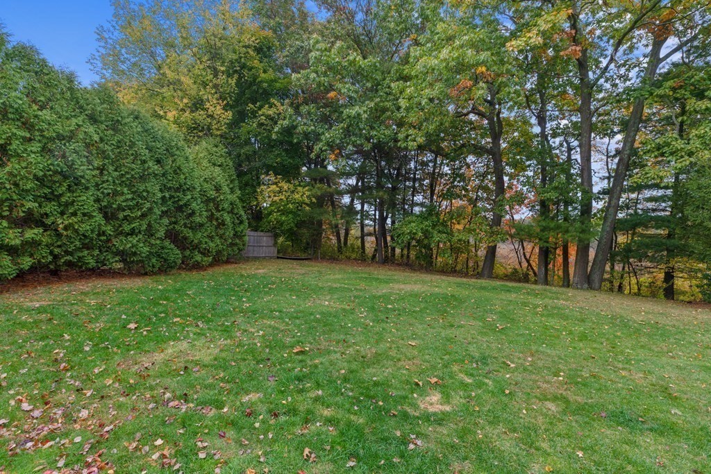 19 Manor Avenue Natick, MA 01760 - Photo 27 of 29 a view of a yard with a tree