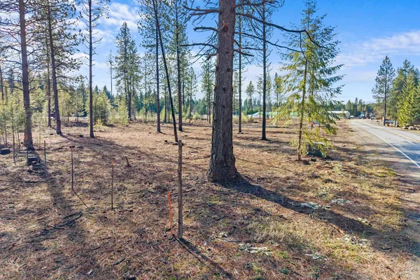 $90,000 | Lot 15 Southshore Diamond Lake Road, Newport, WA 99156
