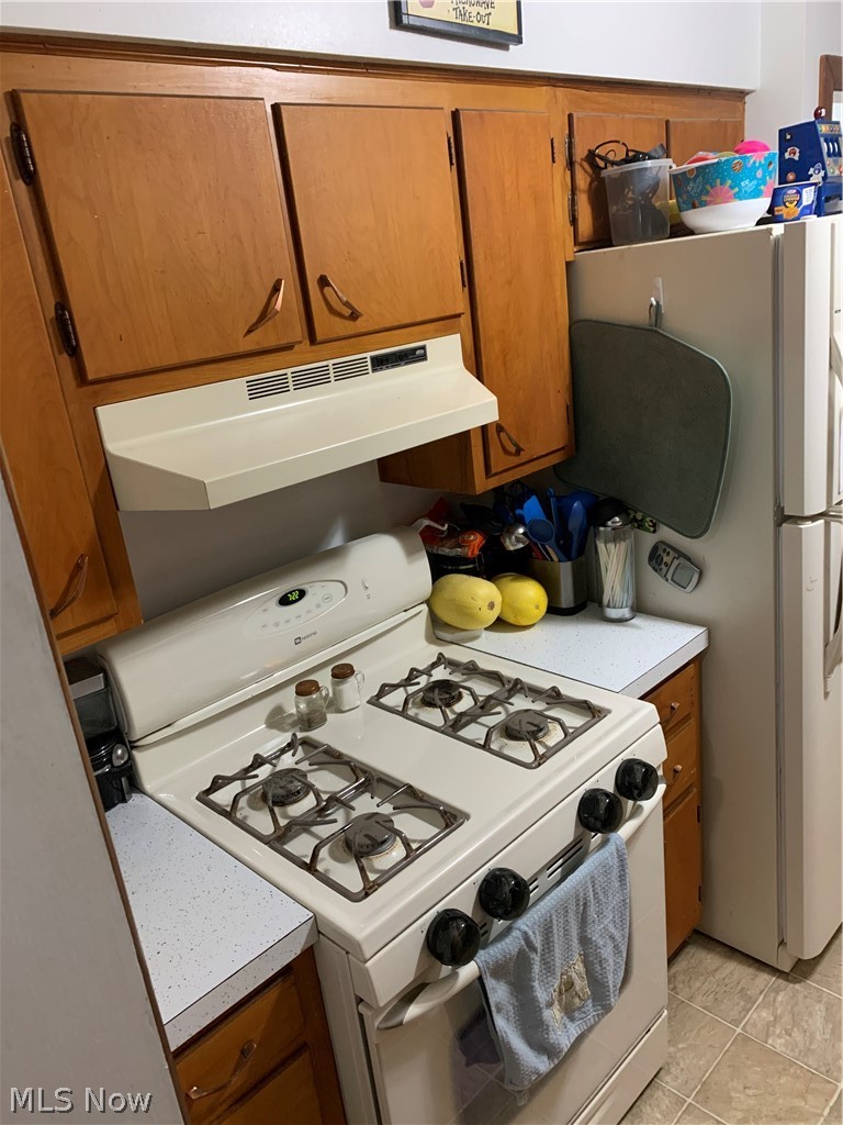971 Reeve Road Elyria, OH 44035 - Photo 3 of 26 Gallery Image 3
