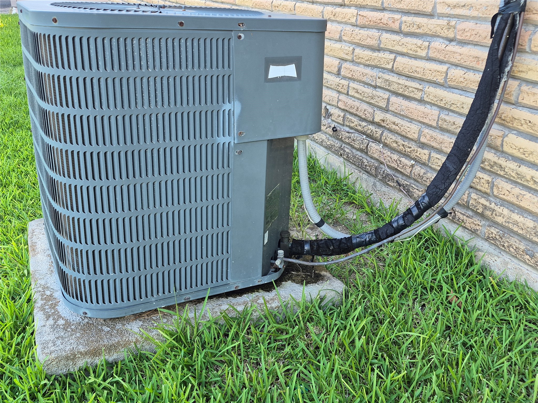 304 Avondale Lane Friendswood, TX 77546 - Photo 7 of 7 a view of a backyard with plants