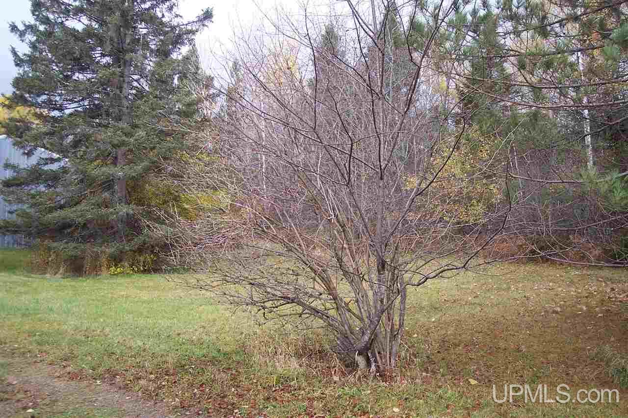 109 Co Road Marenisco, MI 49947 - Photo 4 of 6