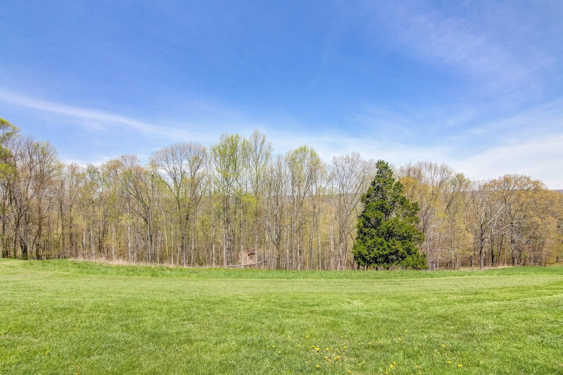 6263 Northside Road Newport, VA 24128 - Photo 31 of 51 031-271419-6263 Northside Rd 31_6332717