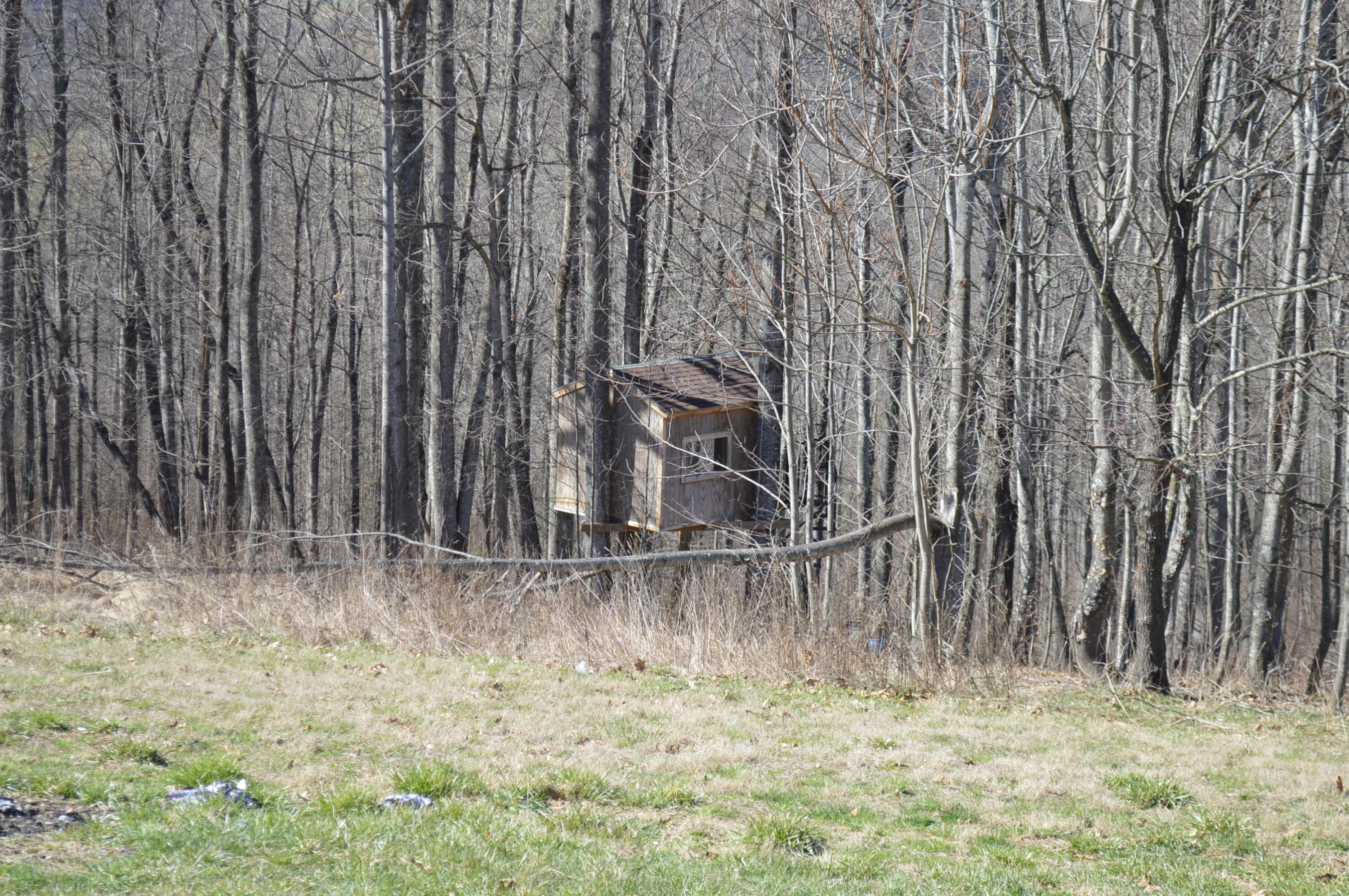 6263 Northside Road Newport, VA 24128 - Photo 39 of 51 tree house