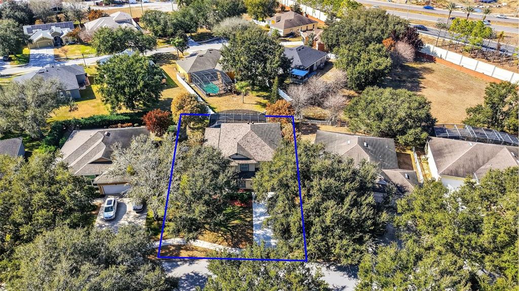 729 Strihal Loop Oakland, FL 34787 - Photo 3 of 49 an aerial view of residential house with outdoor space and swimming pool