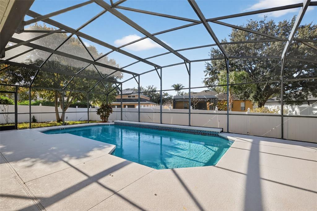 729 Strihal Loop Oakland, FL 34787 - Photo 44 of 49 a view of a backyard