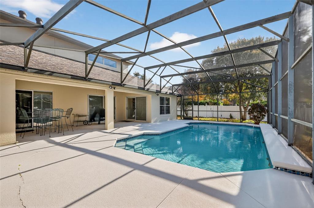 729 Strihal Loop Oakland, FL 34787 - Photo 45 of 49 a view of a swimming pool with a patio
