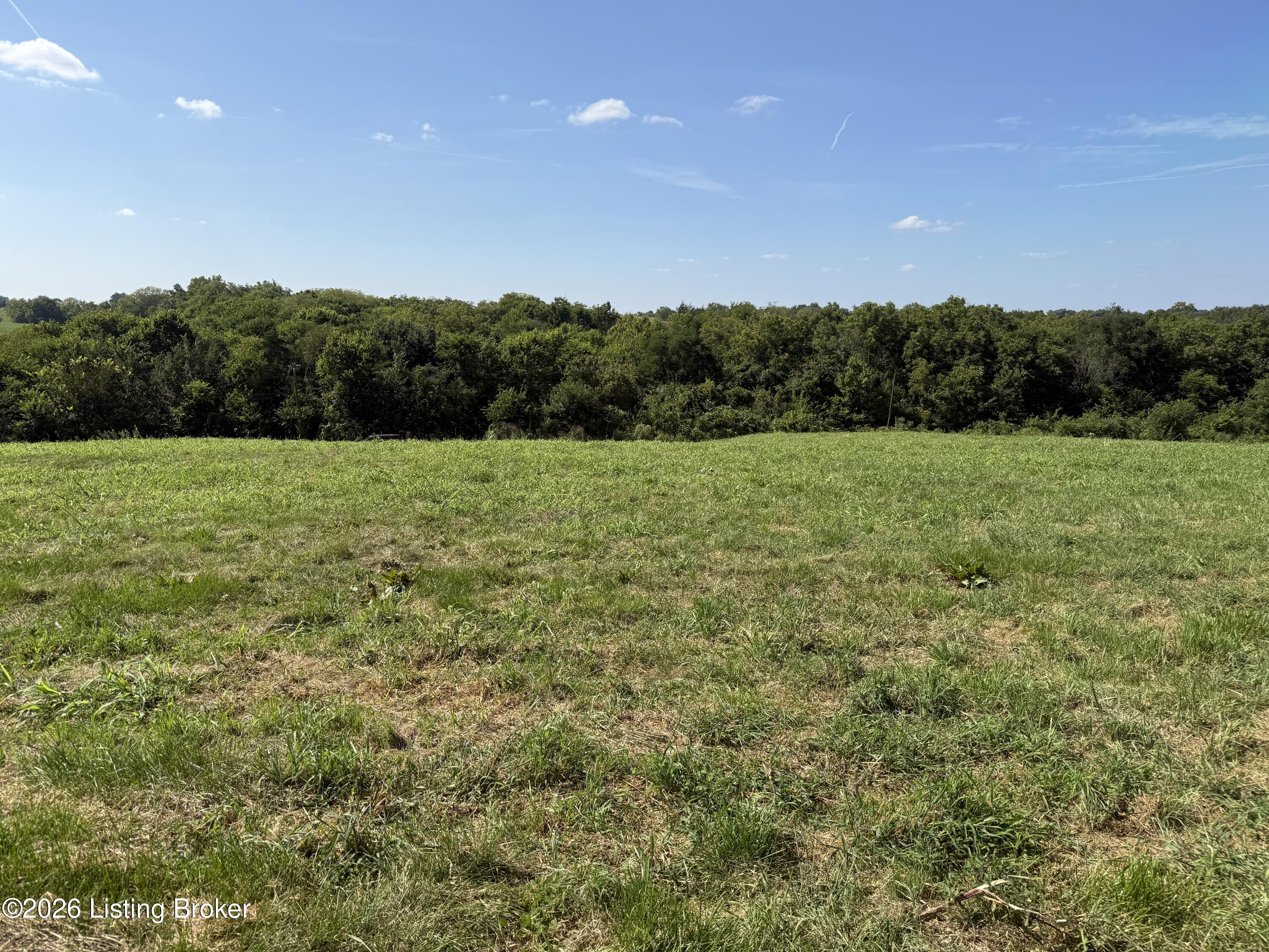 6050 Plum Run Road Bloomfield, KY 40008 - Photo 5 of 6 Plum Run 5