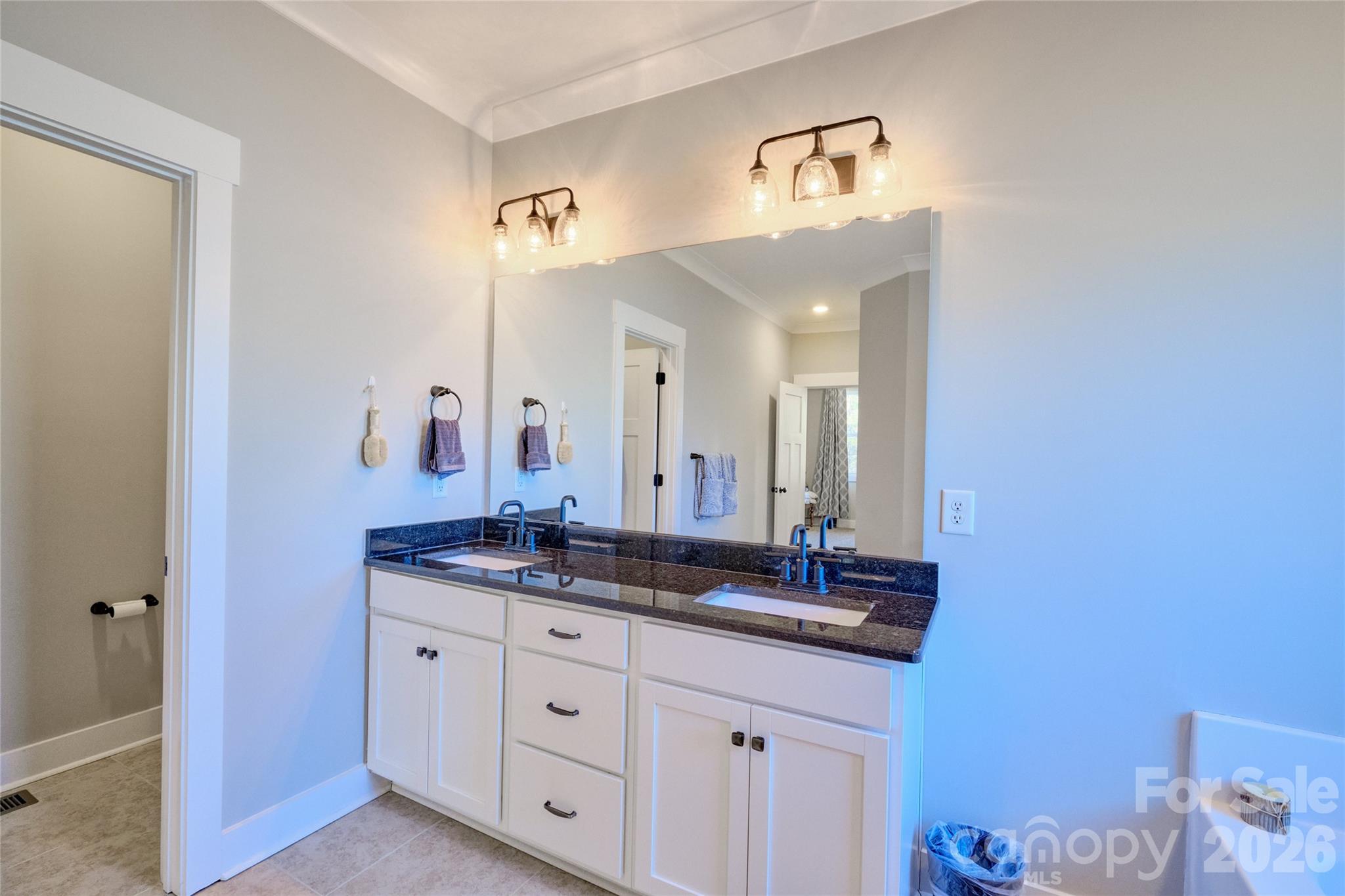 398 Kingsburry Road Clover, SC 29710 - Photo 20 of 48 a bathroom with a double vanity sink and a mirror