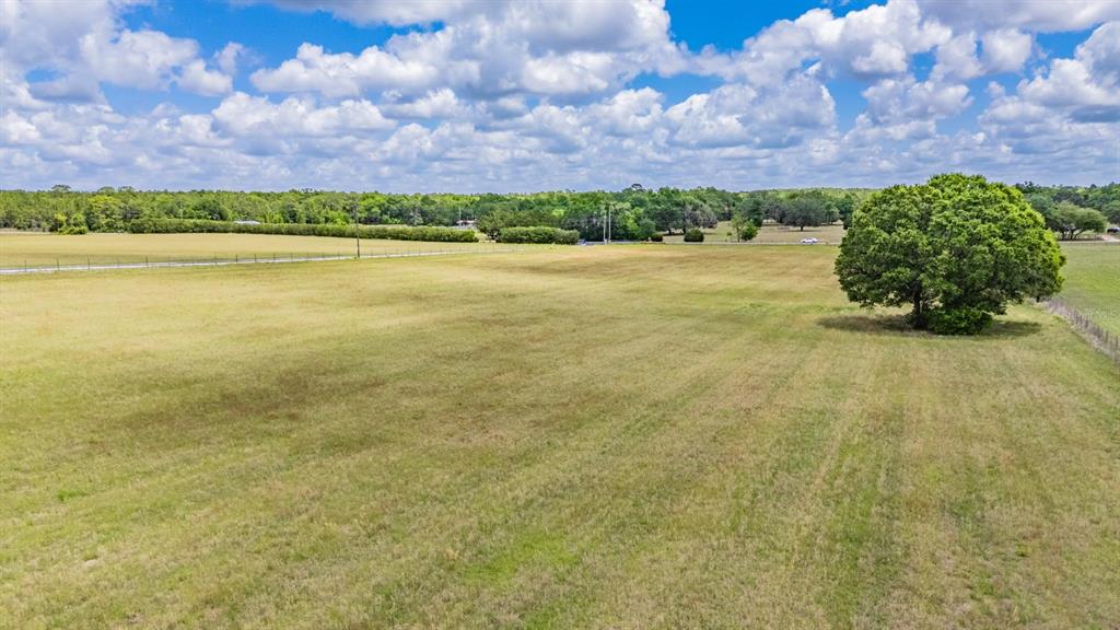 White Road Brooksville, FL 34602 - Photo 16 of 21 Gallery Image 16