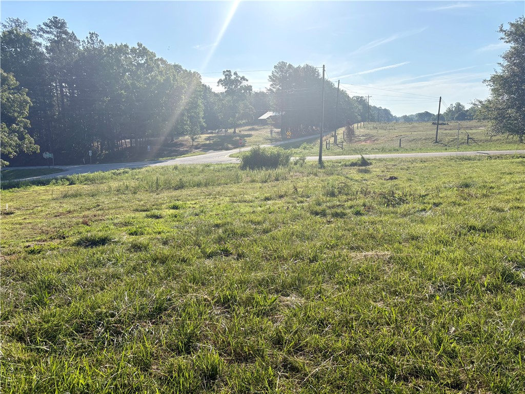 351 Randys Road Westminster, SC 29693 - Photo 5 of 30 A spacious, verdant lot awaits your vision, bordered by a quiet road and mature trees.