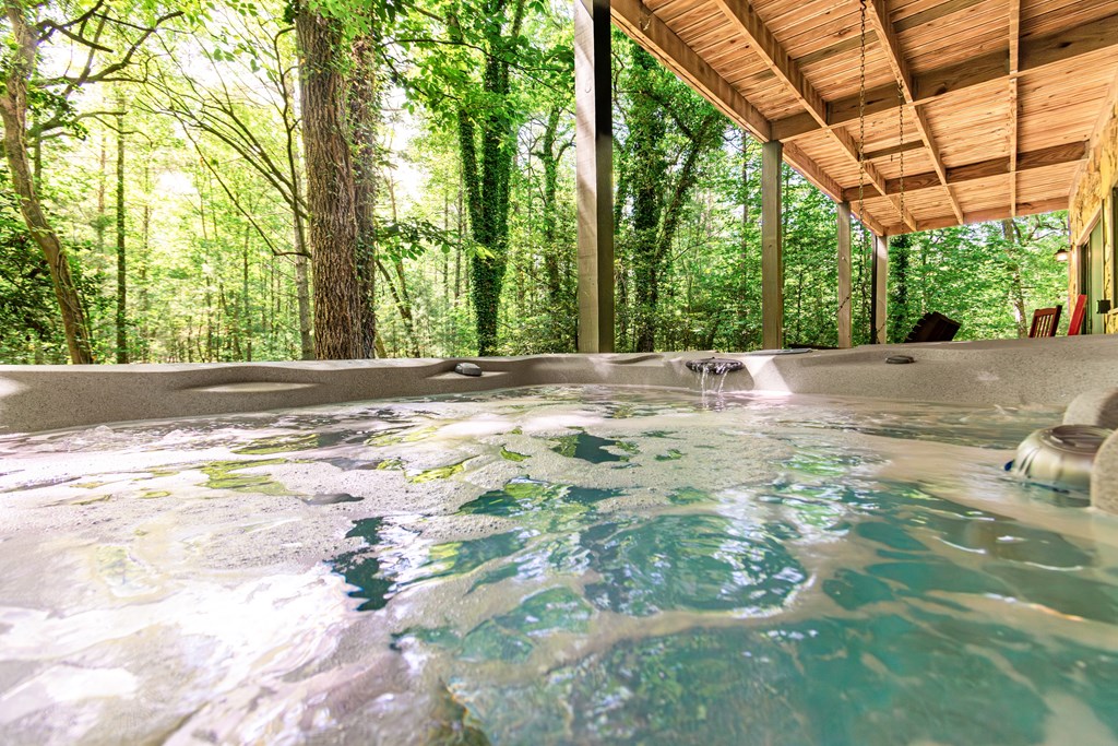 347 Dowd Road Morganton, GA 30560 - Photo 43 of 71 Gallery Image 43