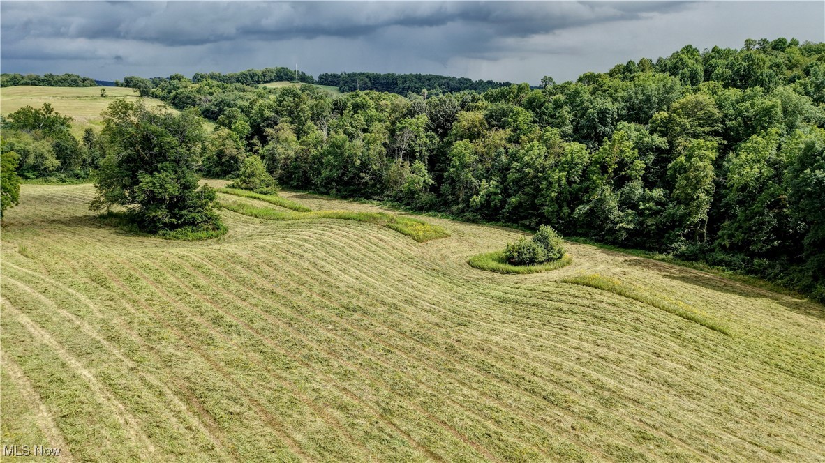 294 County Road Conesville, OH 43811 - Photo 9 of 39 View of rural area