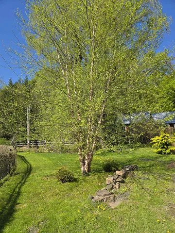 $899,000 | 13 Kimball Hill, Putney, VT 05346