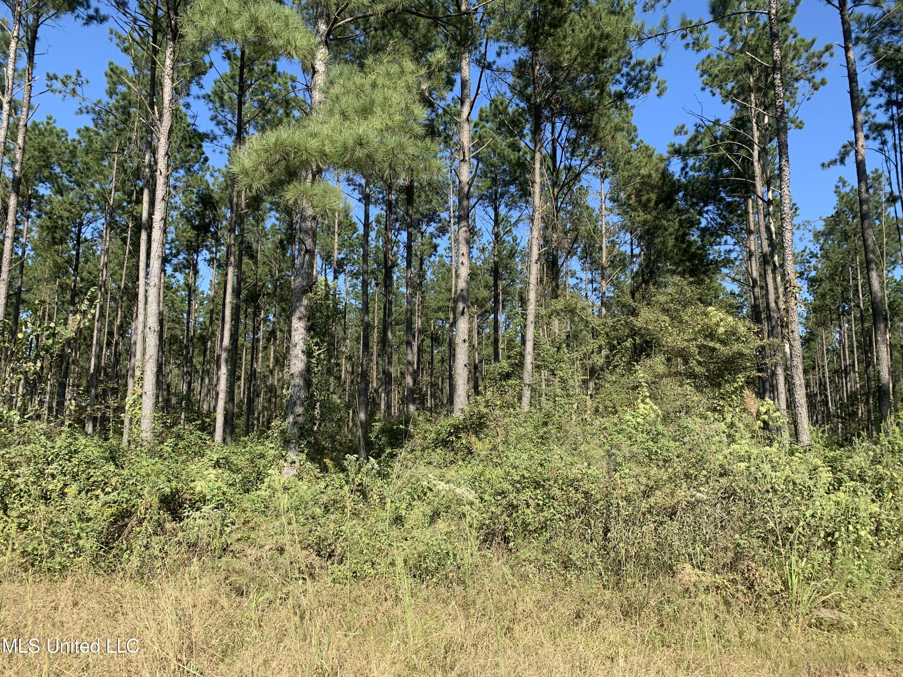 1 Ponderosa Road Lawrence, MS 39336 - Photo 1 of 12 +/- 160 acres Newton County, MS