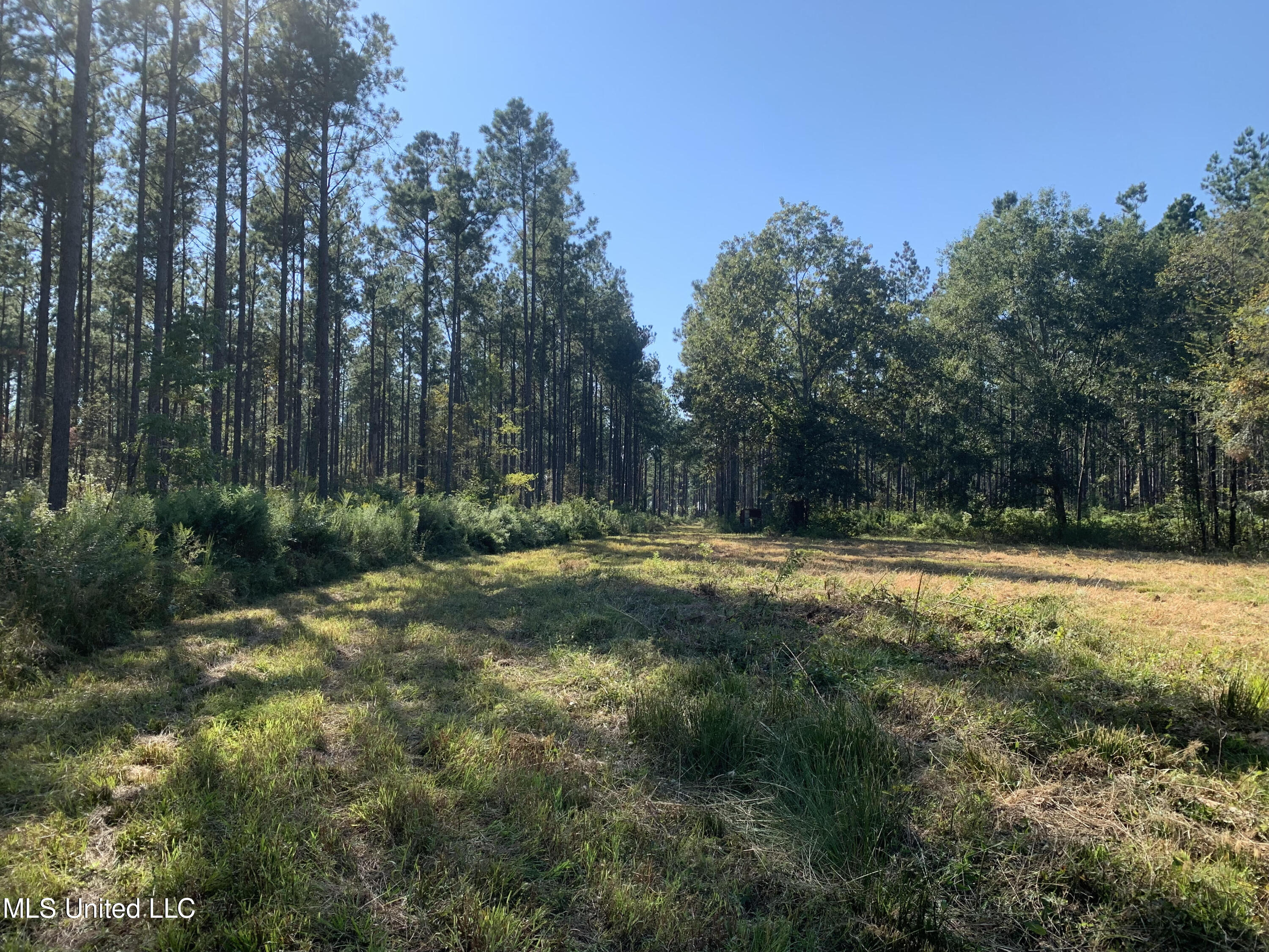 1 Ponderosa Road Lawrence, MS 39336 - Photo 11 of 12 Newton 160 11