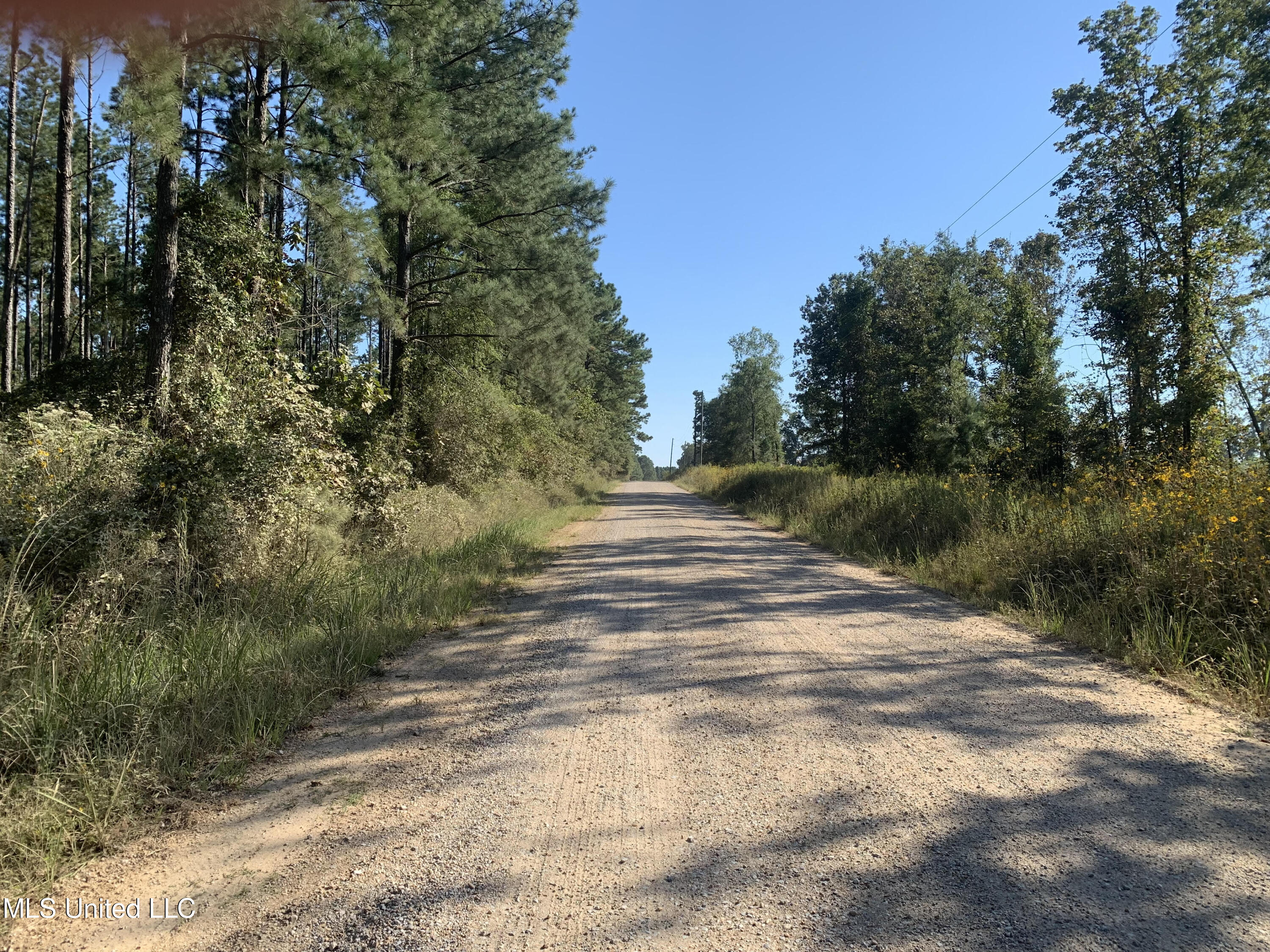 1 Ponderosa Road Lawrence, MS 39336 - Photo 2 of 12 Newton 160 2
