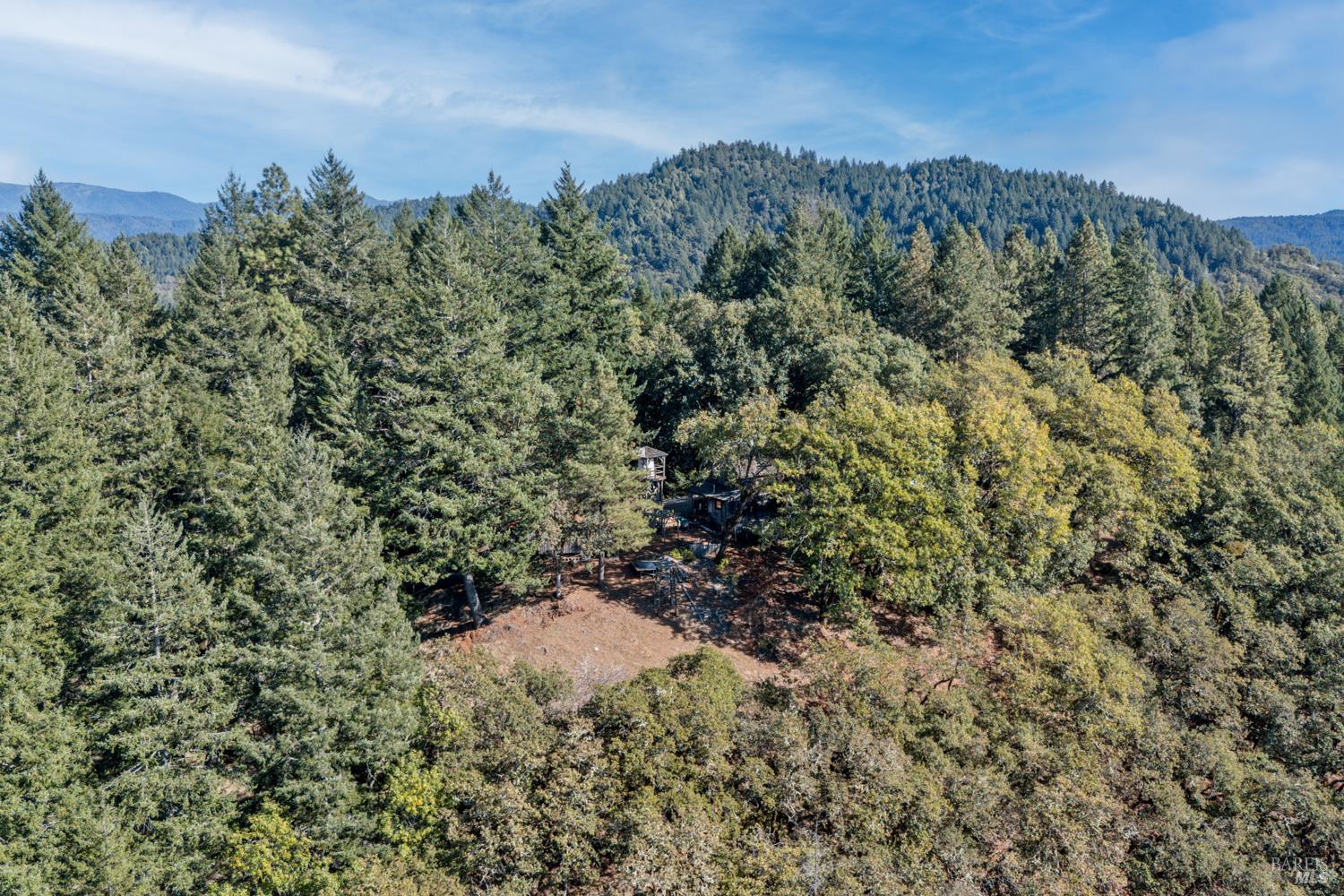24600 String Creek Road Willits, CA 95490 - Photo 4 of 24 a view of a forest with a building