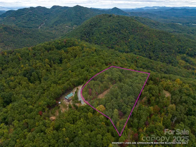 a view of a lush green field