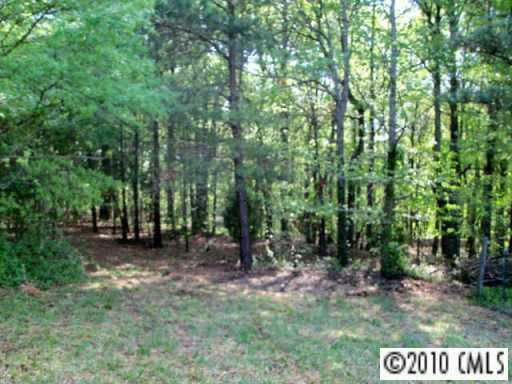 0 Lynn Road Oakboro, NC 28129 - Photo 3 of 6
