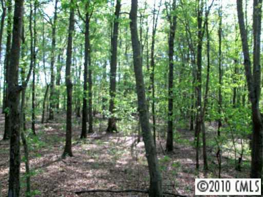 0 Lynn Road Oakboro, NC 28129 - Photo 5 of 6