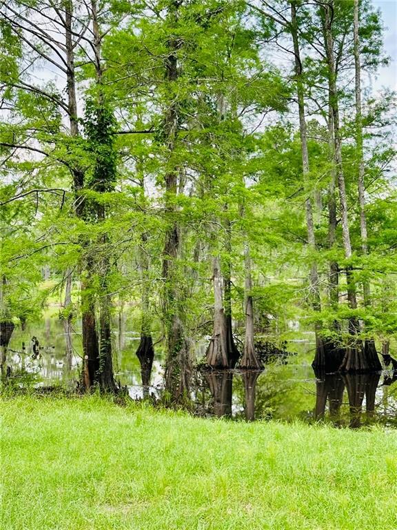 701 Hog Island Road Dry Prong, LA 71423 - Photo 5 of 22