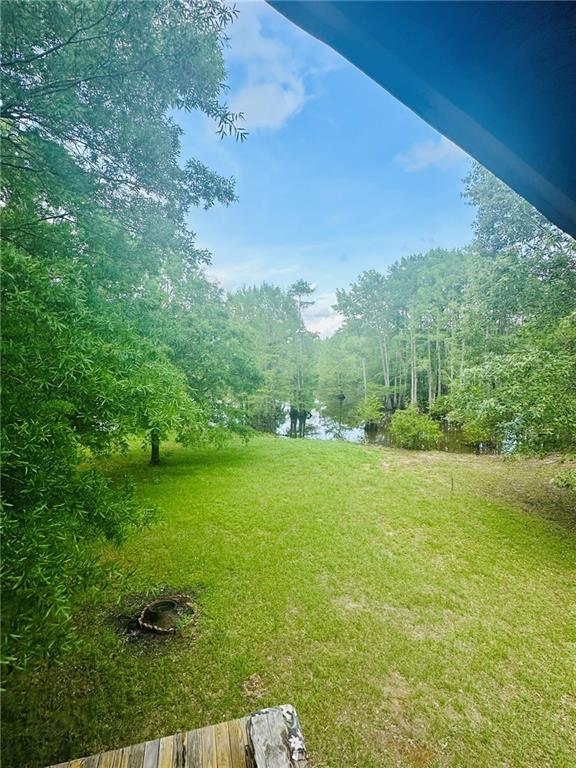 701 Hog Island Road Dry Prong, LA 71423 - Photo 7 of 22