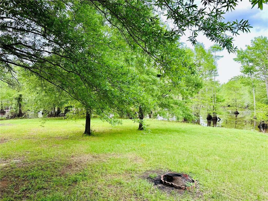 701 Hog Island Road Dry Prong, LA 71423 - Photo 8 of 22