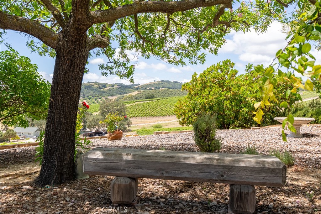 1618 Kiler Canyon Road Paso Robles, CA 93446 - Photo 35 of 62