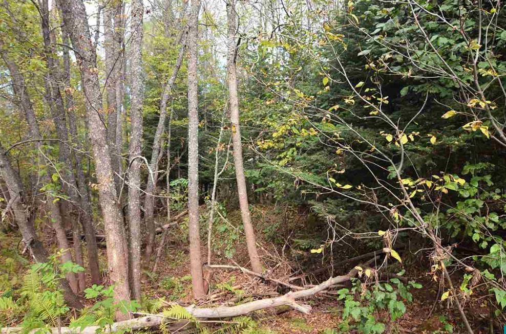 2835 Merila Road South Range, WI 54874 - Photo 1 of 1 Gallery Image 1