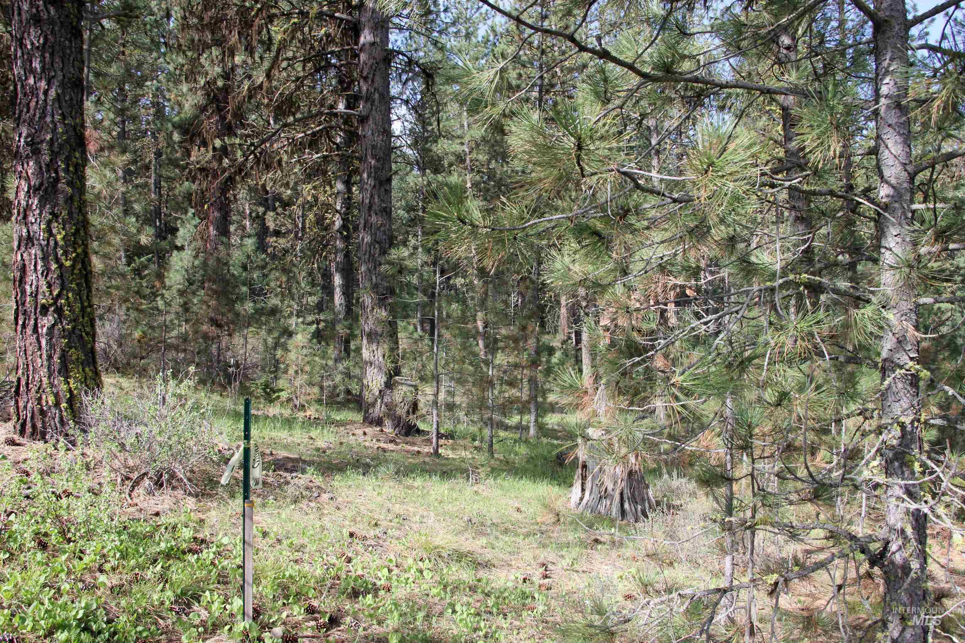 Lot 6 Hot Springs Road New Meadows, ID 83654 - Photo 9 of 11