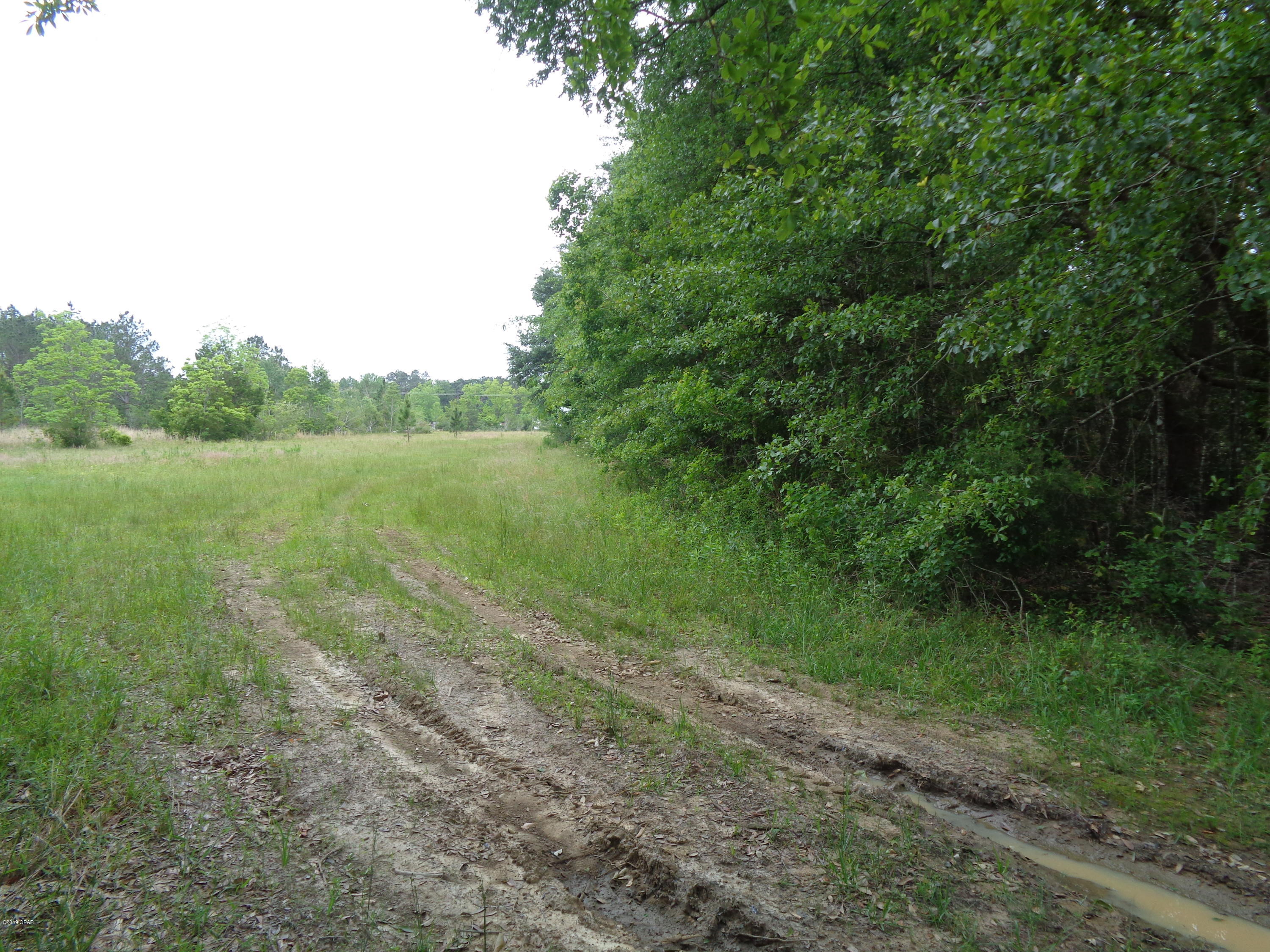 0 Bahoma Road Chipley, FL 32428 - Photo 1 of 8