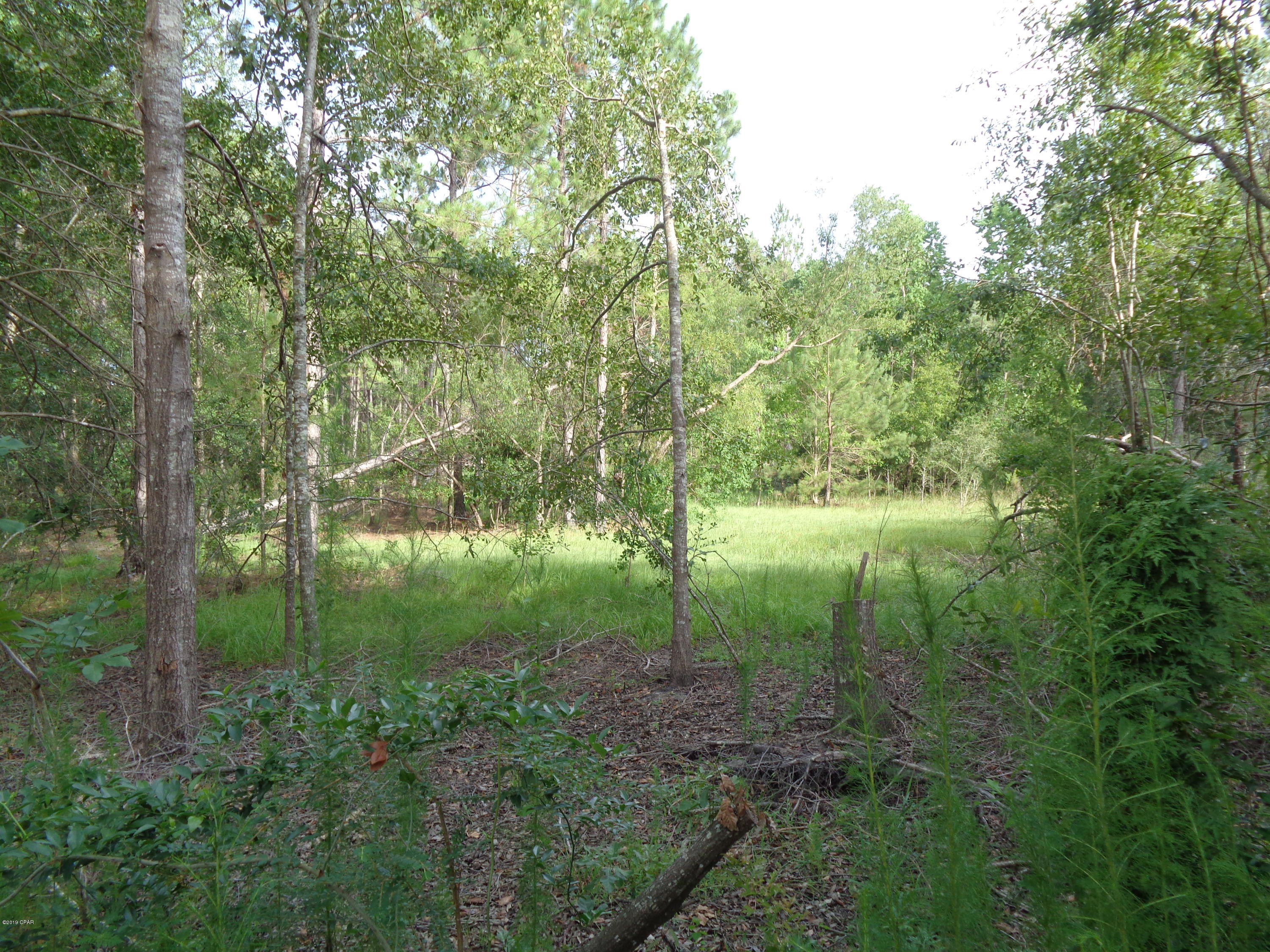 0 Bahoma Road Chipley, FL 32428 - Photo 5 of 8