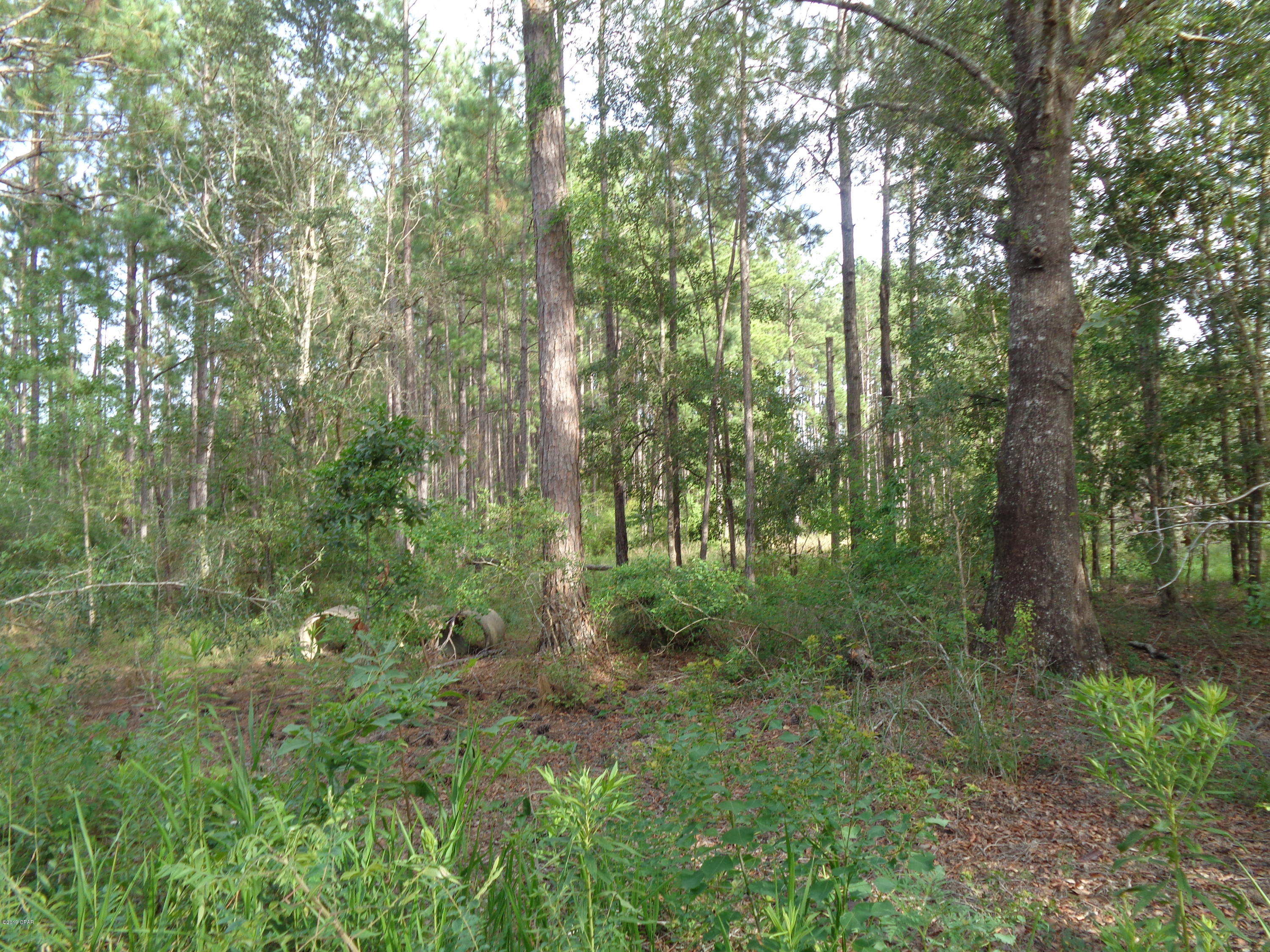 0 Bahoma Road Chipley, FL 32428 - Photo 6 of 8