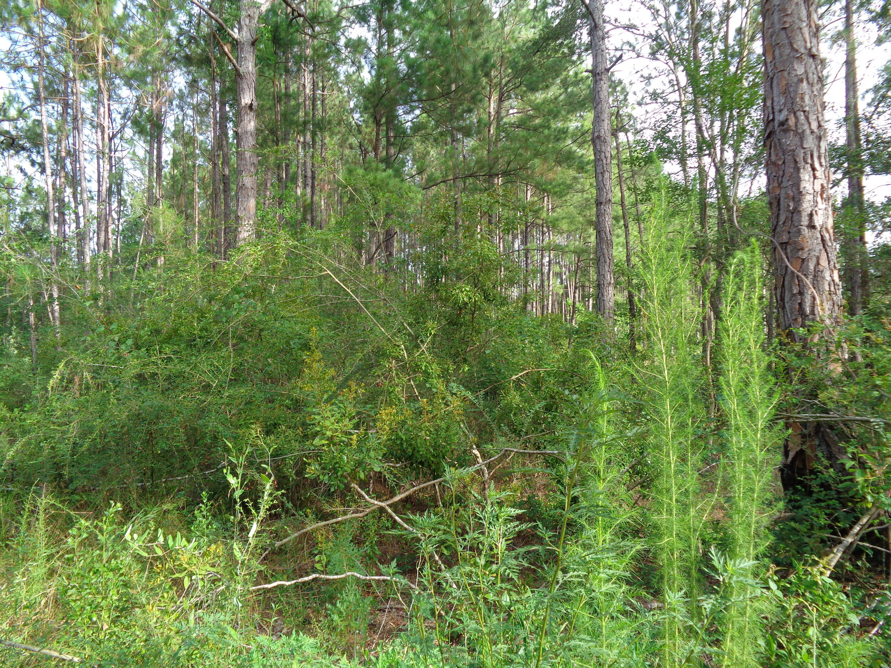 0 Bahoma Road Chipley, FL 32428 - Photo 7 of 8