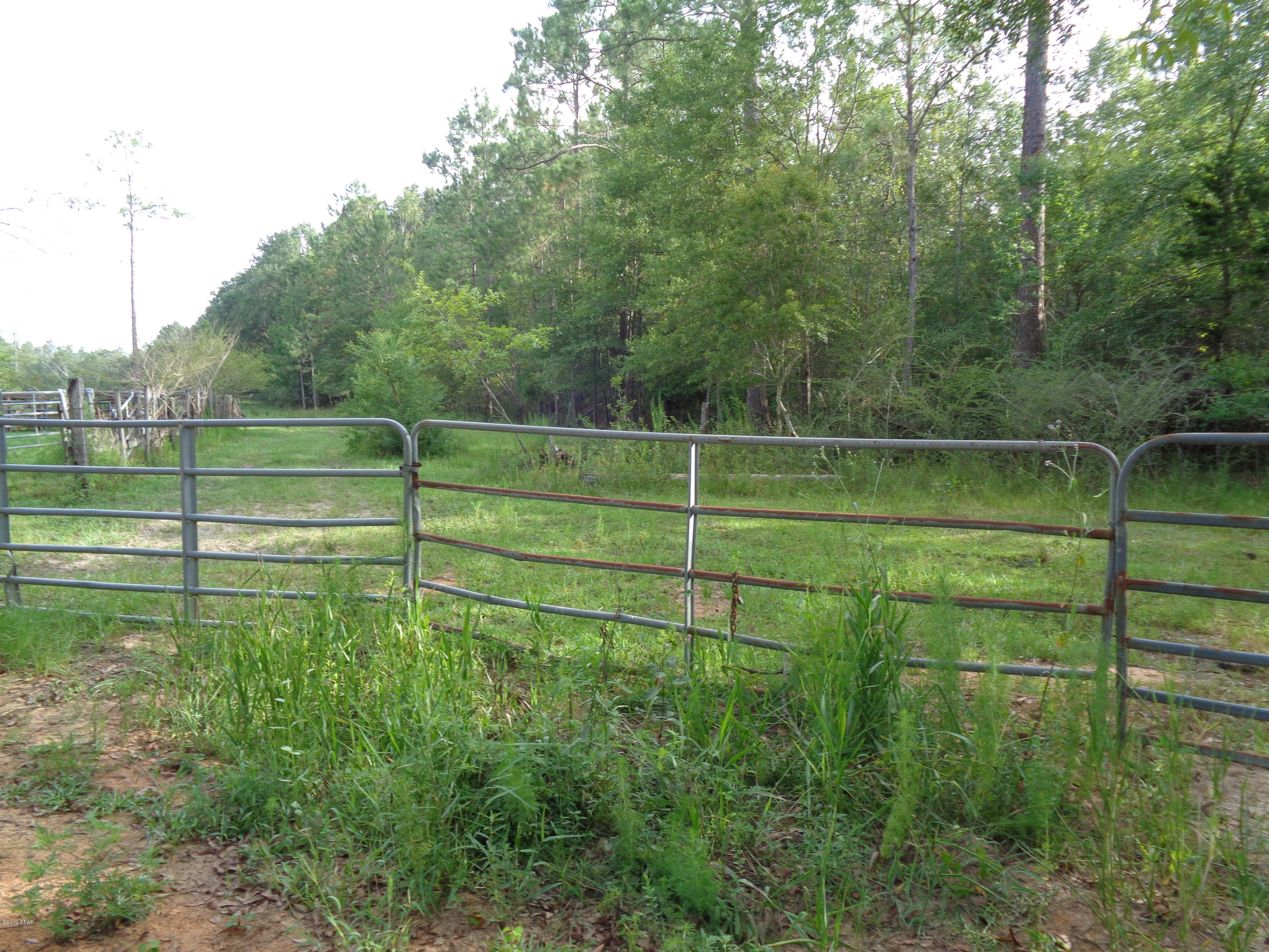 0 Bahoma Road Chipley, FL 32428 - Photo 8 of 8