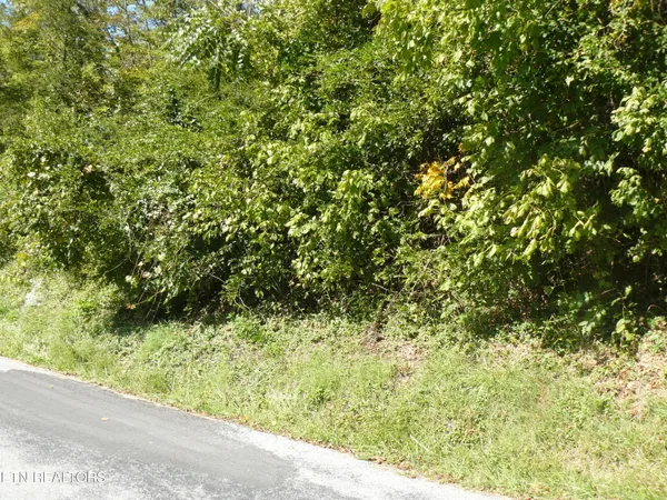 $115,000 | Lower Caney Valley Road, Tazewell, TN 37879