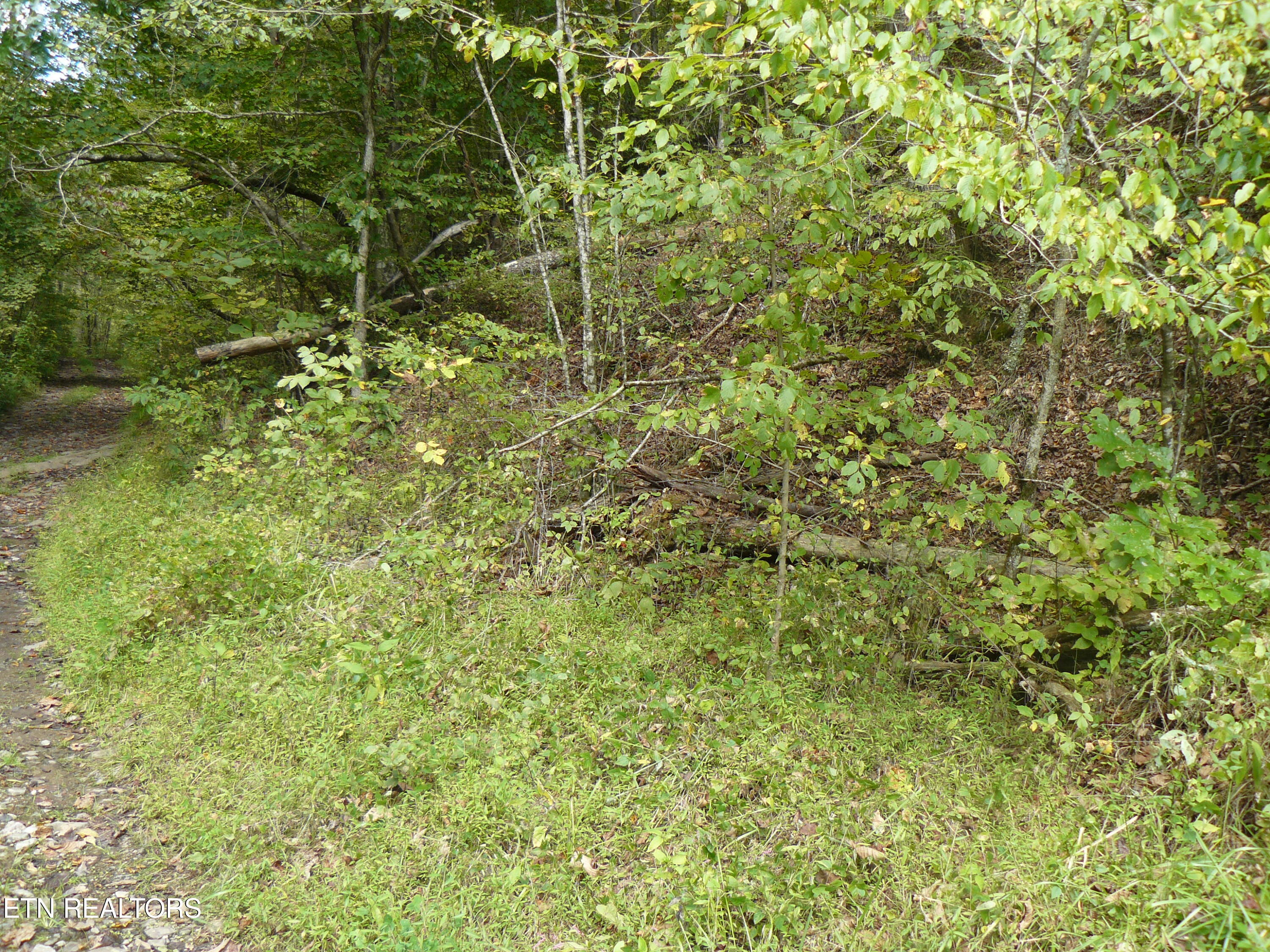 Lower Caney Valley Road Tazewell, TN 37879 - Photo 2 of 7 P1430436