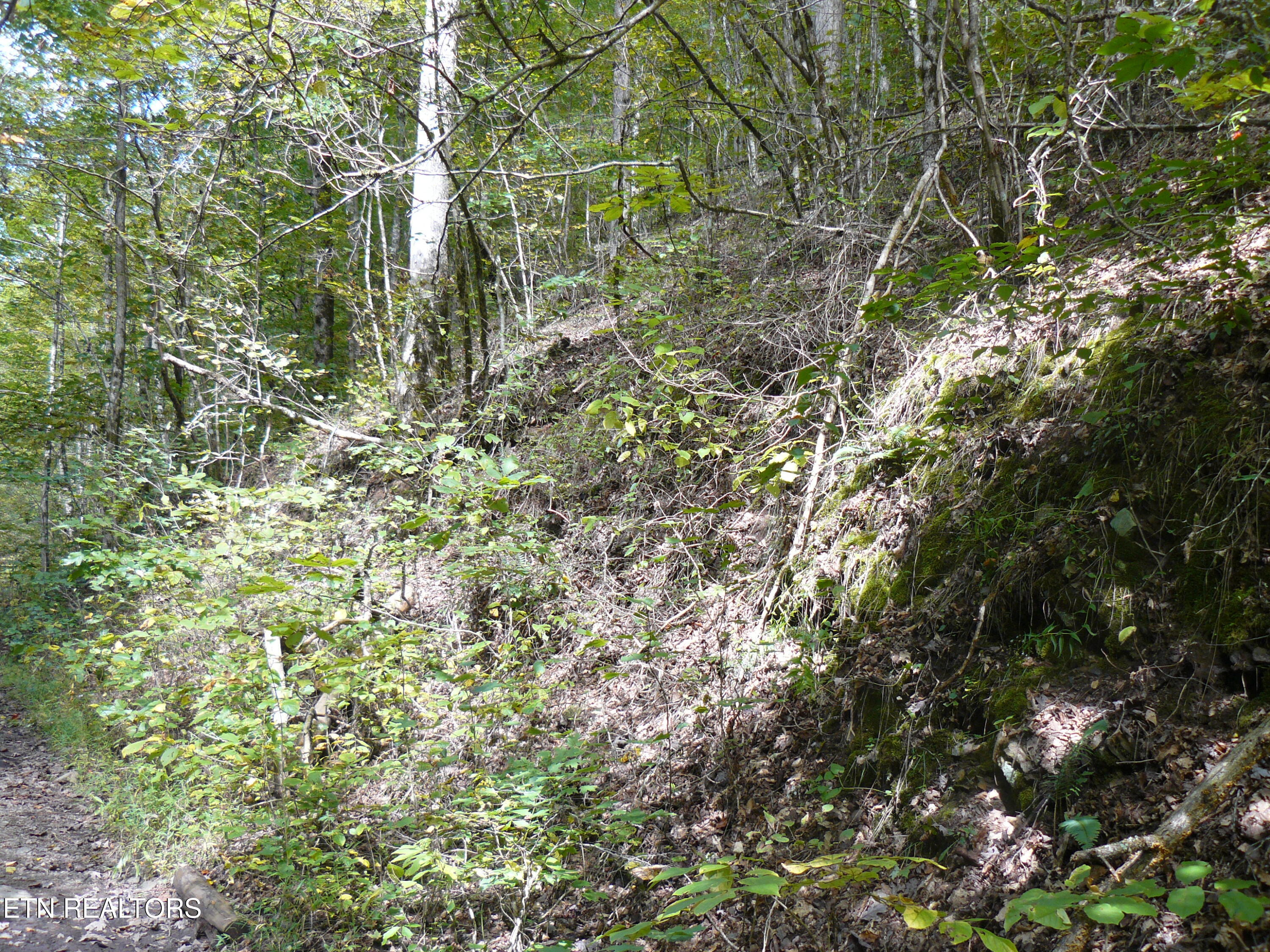 Lower Caney Valley Road Tazewell, TN 37879 - Photo 4 of 7 P1430438