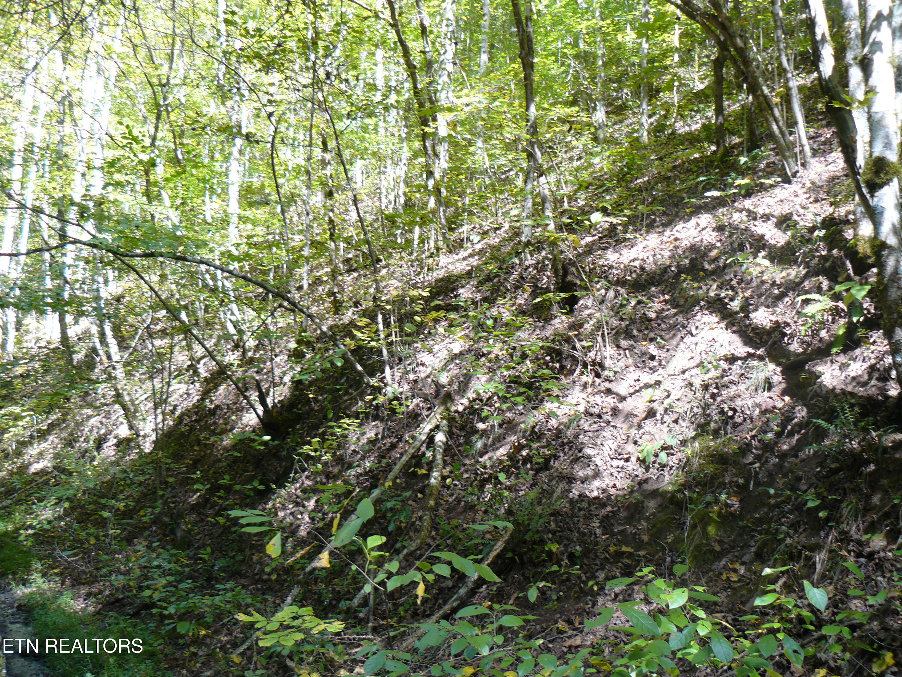 Lower Caney Valley Road Tazewell, TN 37879 - Photo 5 of 7 P1430439