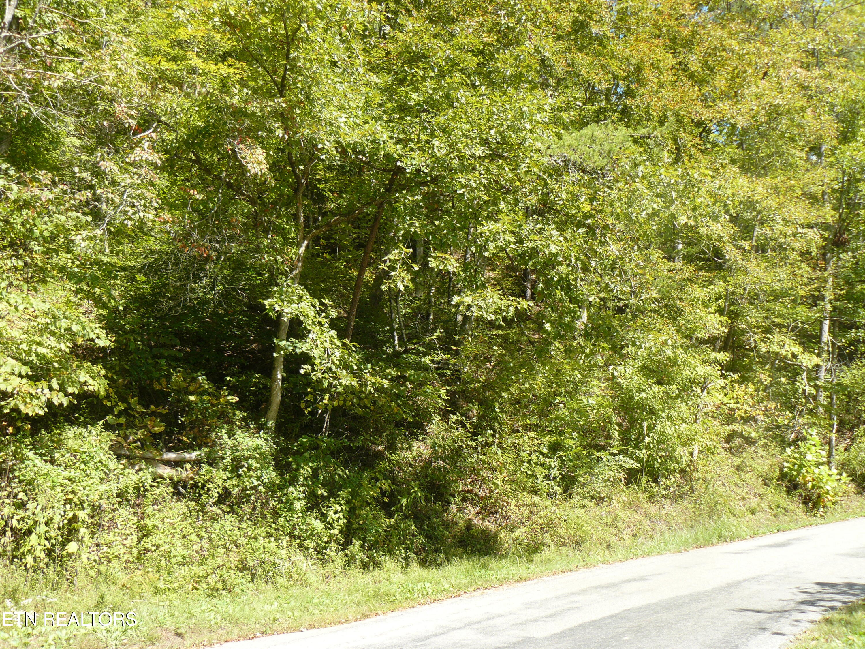 Lower Caney Valley Road Tazewell, TN 37879 - Photo 6 of 7 P1430440