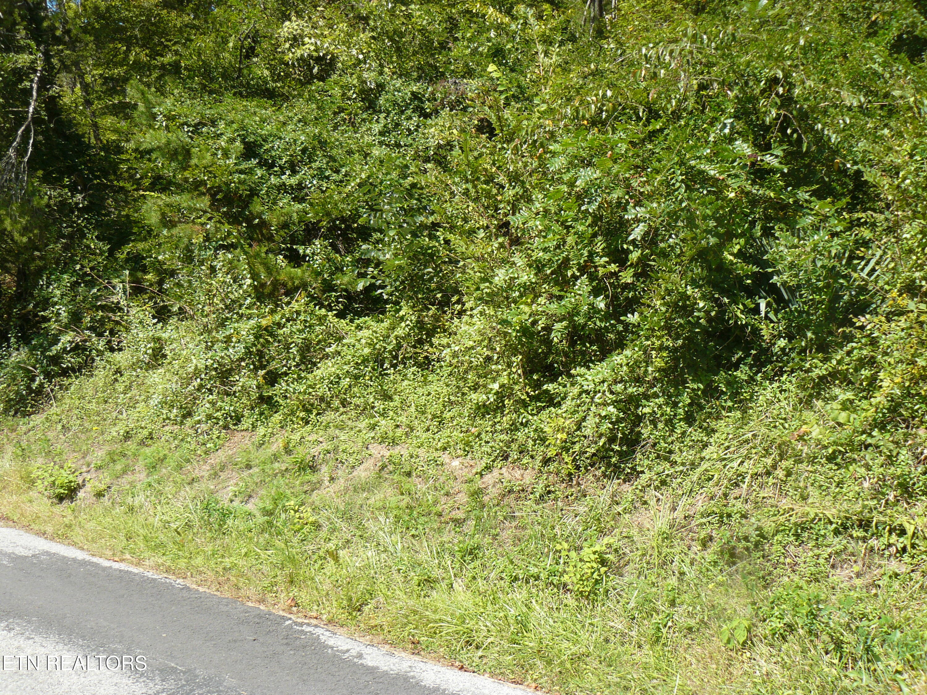 Lower Caney Valley Road Tazewell, TN 37879 - Photo 7 of 7 P1430441