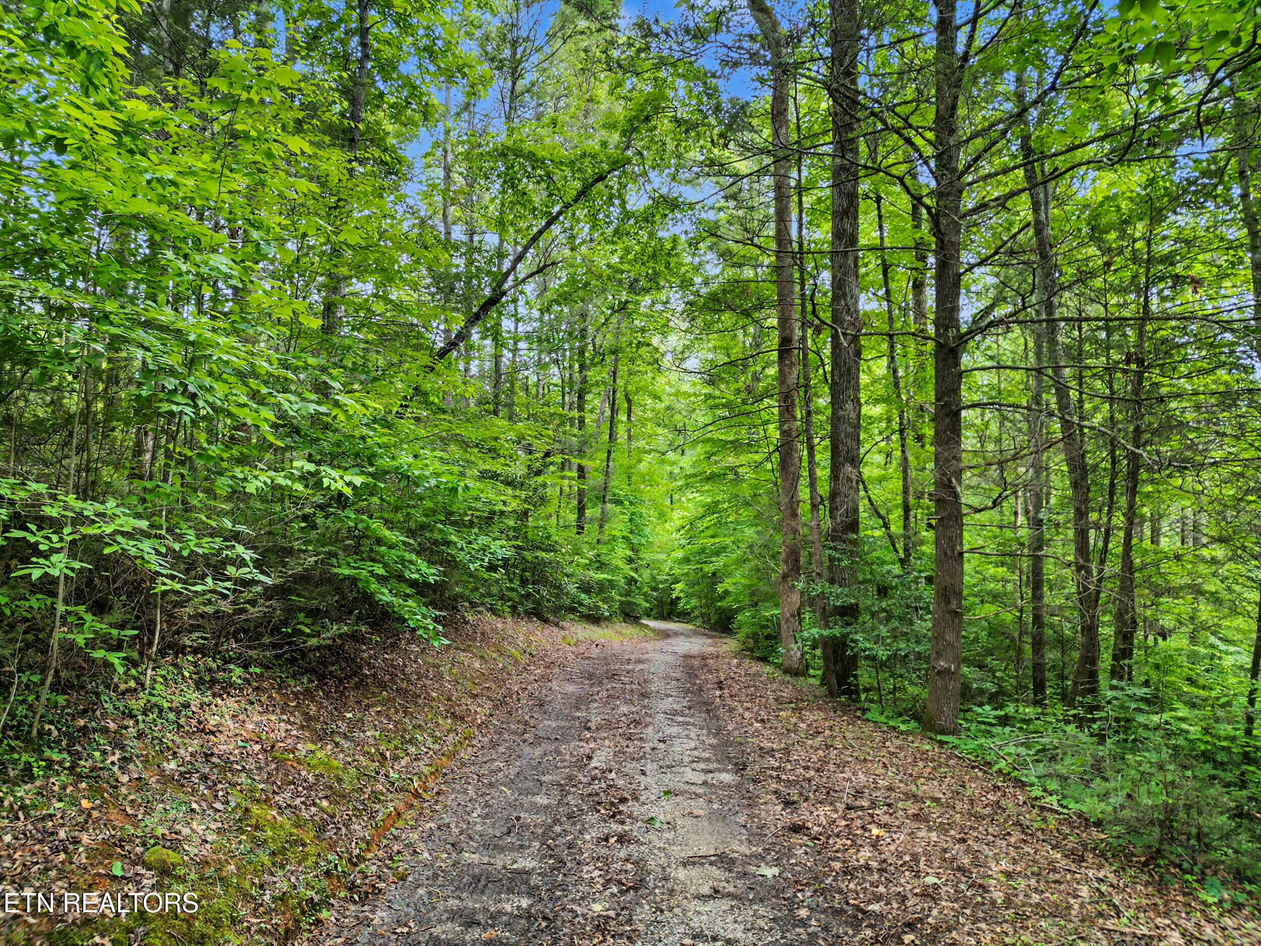 1006 Dry Valley Road Townsend, TN 37882 - Photo 41 of 54 40_dji_0040