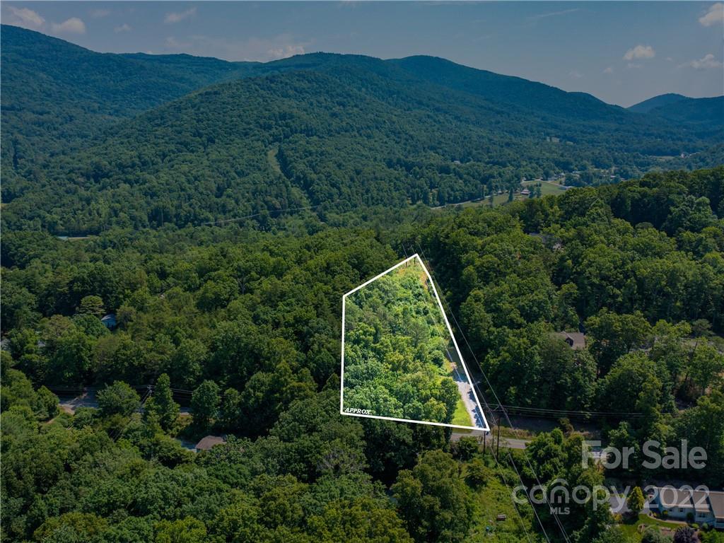 99999 Dode Whitaker Road Fairview, NC 28730 - Photo 1 of 28 Gallery Image 1
