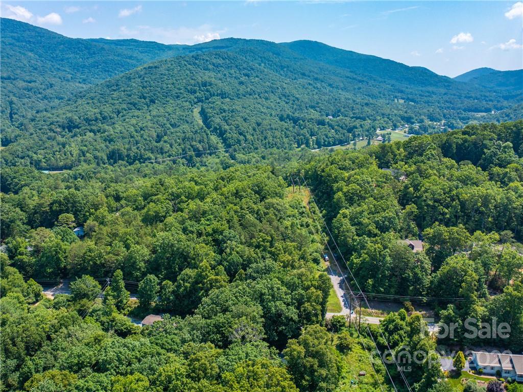 99999 Dode Whitaker Road Fairview, NC 28730 - Photo 13 of 28 Gallery Image 13