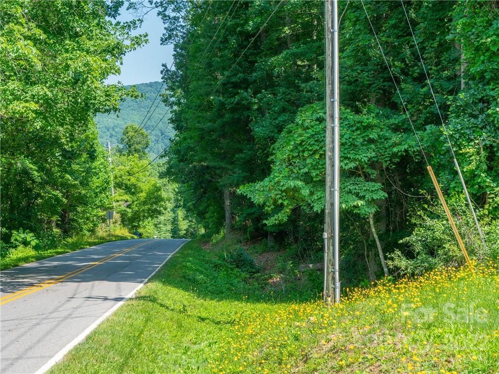 99999 Dode Whitaker Road Fairview, NC 28730 - Photo 17 of 28 Gallery Image 17