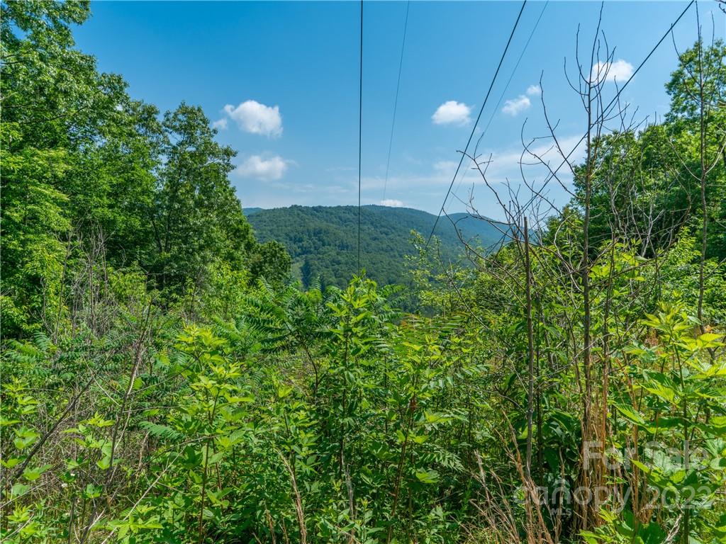 99999 Dode Whitaker Road Fairview, NC 28730 - Photo 18 of 28 Gallery Image 18