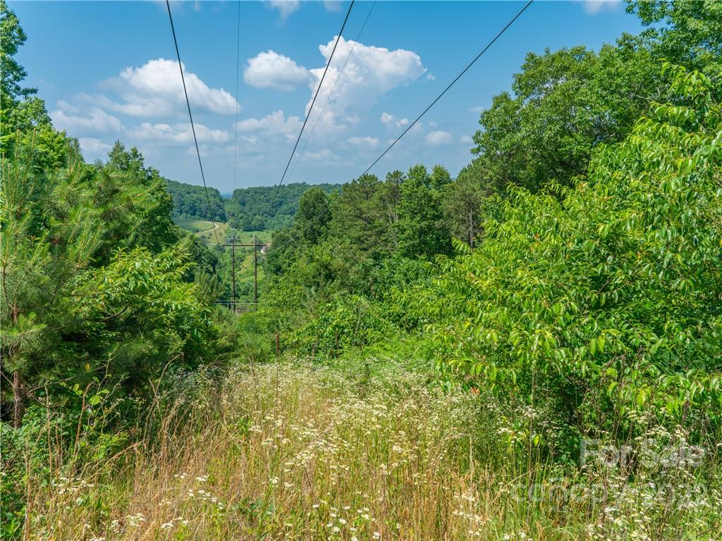 99999 Dode Whitaker Road Fairview, NC 28730 - Photo 19 of 28 Gallery Image 19